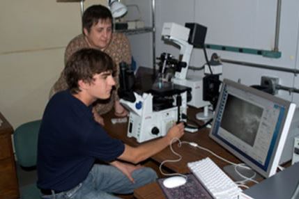 Two CLSF researchers working in the lab.
