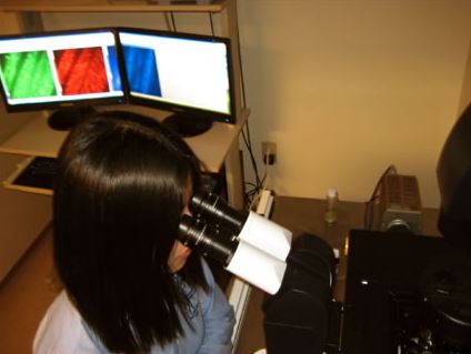 Lei Lei looking through a microscope.